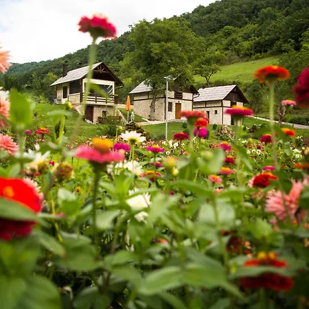 Prázdninový dům Vikendice - Vodenica Juric